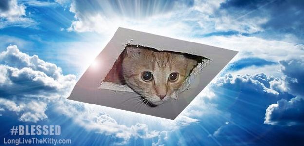 Supervision is about looking at things form a new perspective.......